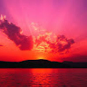 Meet your Posher, Kaycee